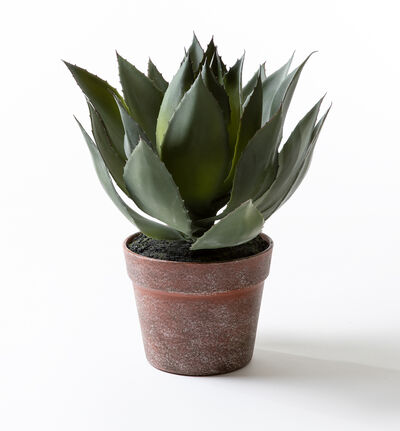 Kunstig Agave Kunstig Agave